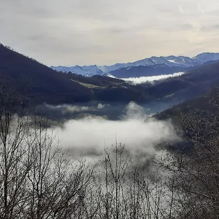 Ancienne Grange Renovee Chez Blazy Alos (Ariege)